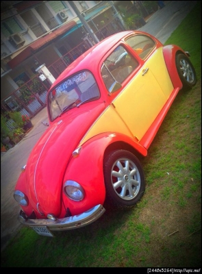 โฟล์คเต่าน่ารักๆหาแลกครับ(รูปด้านในครับ)