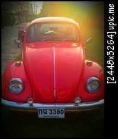 โฟล์คเต่าน่ารักๆหาแลกครับ(รูปด้านในครับ)