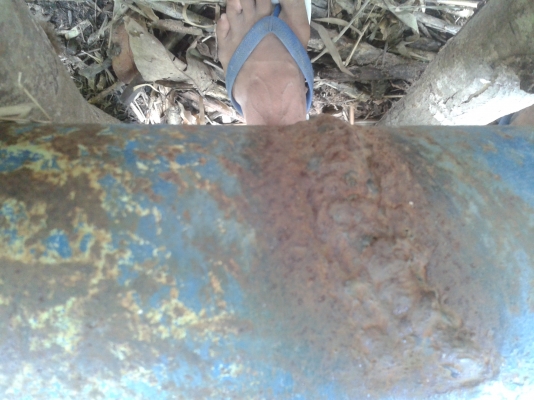 พาล7ฟอร์ด ทีทีลำนารายณ์