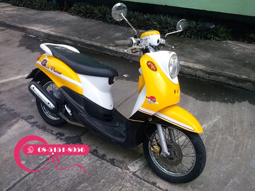 FINO ปี 49 รถสวยขายถูกๆ 14,500 บาทเท่านั้น เอกสารครบ รถขับดีมาก ท้าให้ลองขับเครื่องเดิมๆ FINO ปี 49 รถสวยขายถูกๆ 14,500 บาทเท่านั้น เอกสารครบ รถขับดีมาก ท้าให้ลองขับเครื่องเดิมๆ