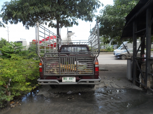 ขายด่วน ขายด่วน