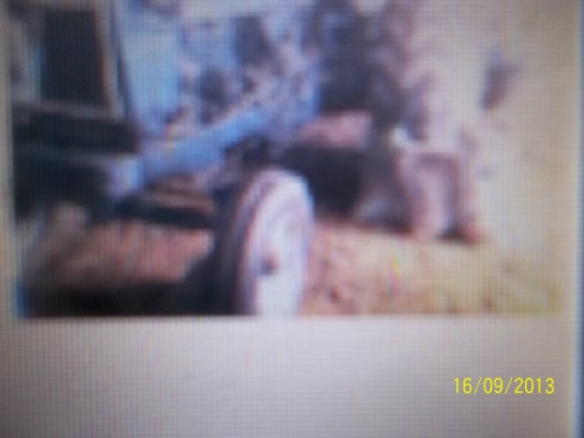 ขายฟอร์ดรวงข้าว