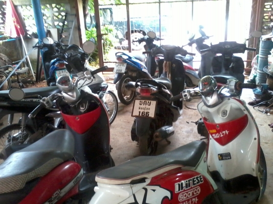 เหมาหรือเเยกคลิ๊กเก่า+มีโอ+ฟีโน่(20คันราคาเบา ๆ )