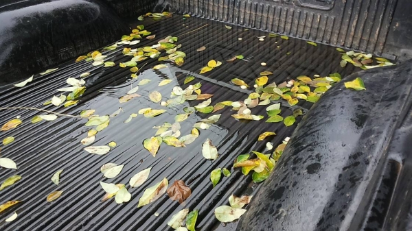 ***ขายแล้วครับขอบคุณ Truck2hand ขายรถสวยพร้อมใช้ ราคาเบาๆ TOYOTA HILUX MIGHTY-X EXTRACAB 2.5 MT ปี 40 โป่ง หน้า-หลังแท้ เครื่องเดิมเกียร์เดิม ฟิตมาใหม่ ช่วงล่างแน่นคัสซีดี ไม่ปะไม่ดาม กระบะสวยพื้นปูกระบะ พ.ธรรมดา แอร์ ยางดี4เส้น รถเคลียร์สีเก็บงานแล้ว สวย