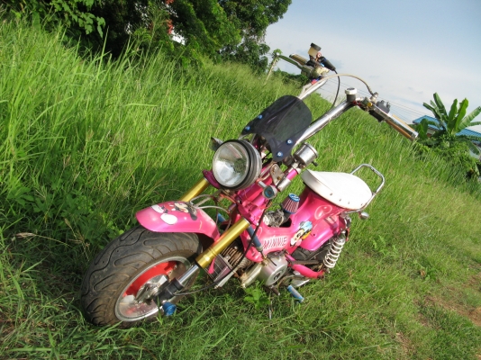 chaly สีชมพู เครื่อง110 สตาร์ตมือ ท่อนิตโต้ สุพรรณบุรี