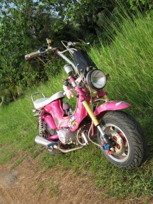 chaly สีชมพู เครื่อง110 สตาร์ตมือ ท่อนิตโต้ สุพรรณบุรี