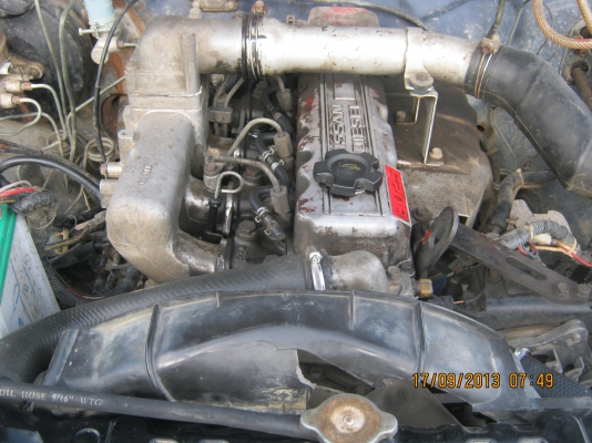 ขายบิ๊กเอ็มฝาแดงไว้ลงไร่ลงนา