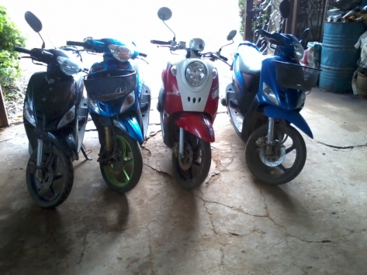 มีโอ3คันแม็ก+ฟีโน่แม็ก1(เหมาหรือแยก)