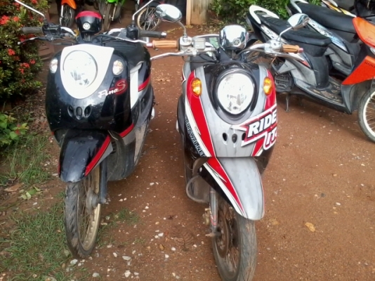 ฟีโน่แท้+มีโอแปลงฟีโน่1คัน