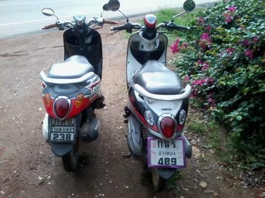 ฟีโน่แท้+มีโอแปลงฟีโน่1คัน