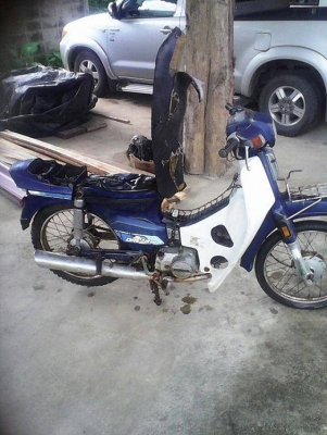 ขาย dream 100 ตูดเป็ด