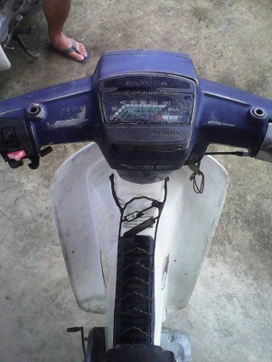 ขาย dream 100 ตูดเป็ด