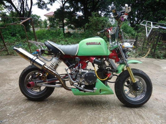 ขายกอลิล่า (ญี่ปุ่นแท้) เครื่องเวฟ 110 มีเล่ม(พร้อมโอน) ราคา33000 ต่อลองได้ สนใจติดต่อ 0862210104 บีเอ็ม(นครพนม)