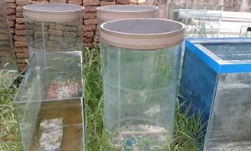 ประกาศขายตู้ปลา พร้อมใช้งาน