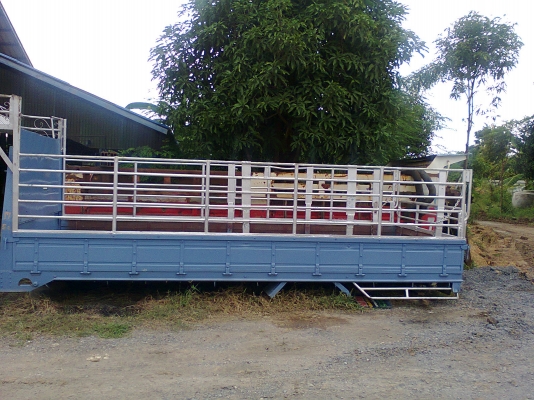 กระบะคาร์โก้ มีคอก 6 ล้อ ยาว 5 เมตร ขายถูกๆๆๆ