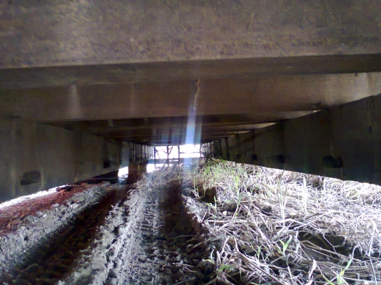 กระบะคาร์โก้ มีคอก 6 ล้อ ยาว 5 เมตร ขายถูกๆๆๆ