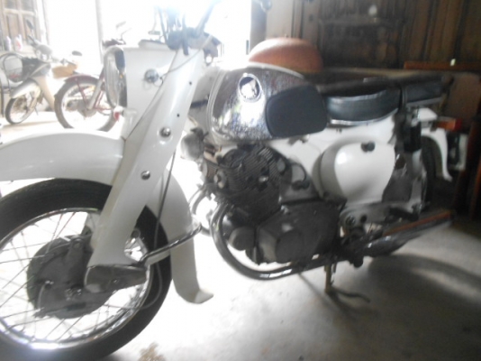 ขายโครตหมูยักษ์