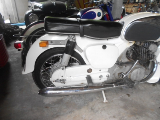 ขายโครตหมูยักษ์