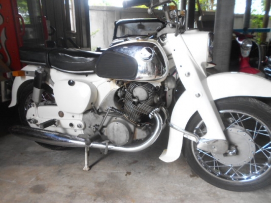 ขายโครตหมูยักษ์