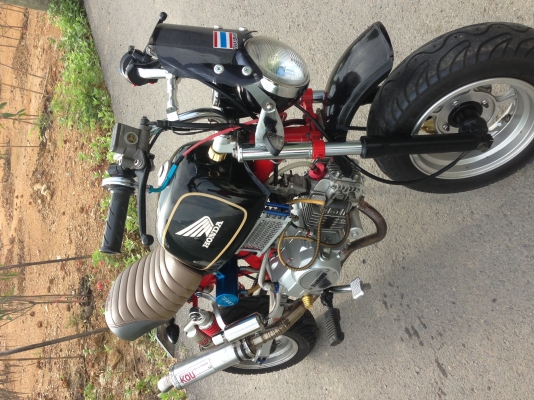 ขายStallion แต่งเต็ม!!