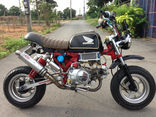 ขายStallion แต่งเต็ม!!