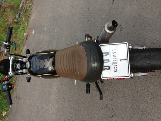 ขายStallion แต่งเต็ม!!