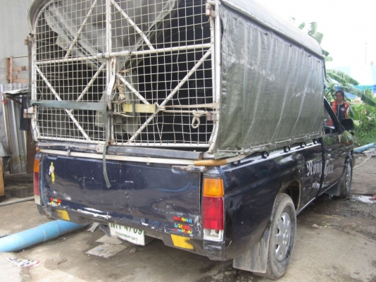 78000...ฝากขายด่วนราคานี้เลยครับ..Nissan BigMหัวเดียว2.7BDฝาแดงปี97ตามสภาพแต่พร้อมใช้มากๆเครื่องดีแชสซีสวย ด่วนๆ กทม. 78000...ฝากขายด่วนราคานี้เลยครับ..Nissan BigMหัวเดียว2.7BDฝาแดงปี97ตามสภาพแต่พร้อมใช้มากๆเครื่องดีแชสซีสวย ด่วนๆ กทม.