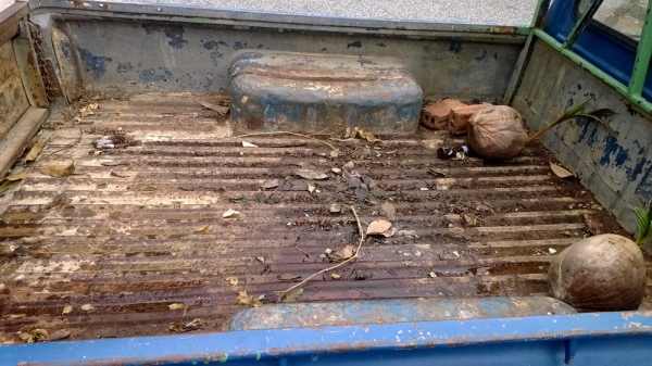 ขายโตโยสติกเกอร์ rn20แห้งๆทะเบียนโอน