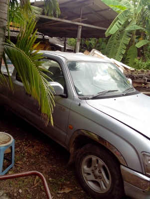 ขายไทเกอร์แค็บปี2000 เครื่อง3000 ตามสภาพ (พ่อค้าครับ) ขายไทเกอร์แค็บปี2000 เครื่อง3000 ตามสภาพ (พ่อค้าครับ)