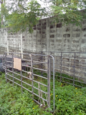 ขายคอกแซงบรรทุกเหล็กแป็ปน้ำ กะบะตอนเดียว