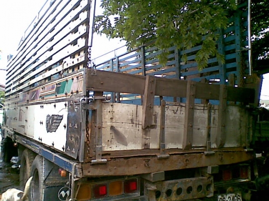 ขาย10ล้ออีซูซุร๊อคกี้ 1เพลา FVM12QY 175แรงม้า ยาว7เมตร รถใช้งานปกติ หัวมีผุเล็กน้อย ชัชซีช่วงปลาย มีผุ ประมาน70เซนติเมตร ขายตามสภาพ