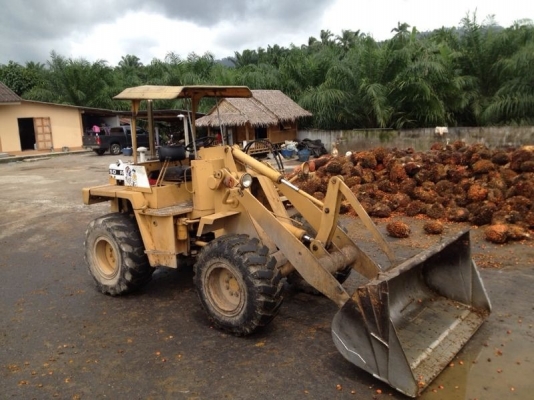 รถตัก KOMATSU 507  สนใจติดต่อ 081 - 6079515