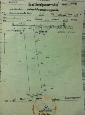ขายที่ดิน 2 แปลงติดกัน จำนวนกว่า 4 ไร่ ติดกับที่ของโรงงานโอตานิซื้อไว้เก็งราคากว่า 70 ไร่