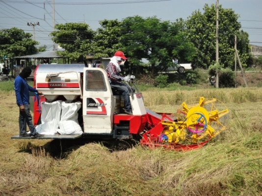 ขายด่วนรถเกี่ยวข้าว หน้าเกี่ยว 2 เมตร