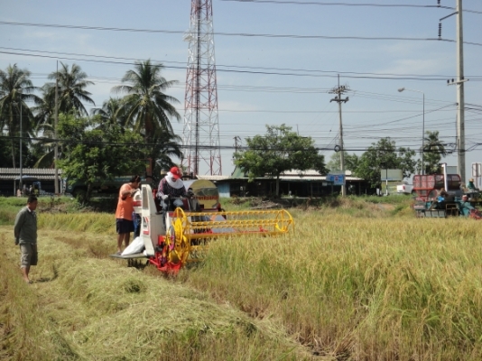 ขายด่วนรถเกี่ยวข้าว หน้าเกี่ยว 2 เมตร