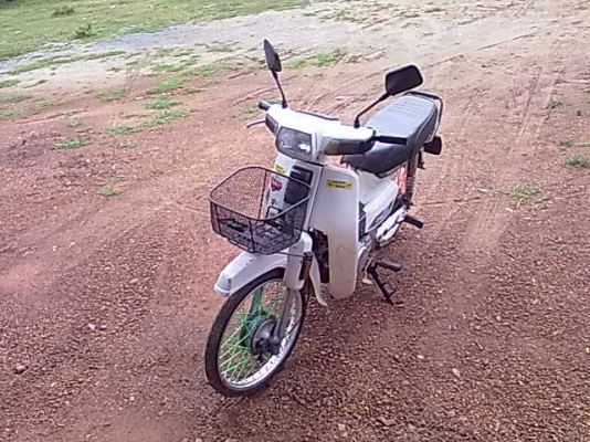 ขายดรีมคุรุสภา