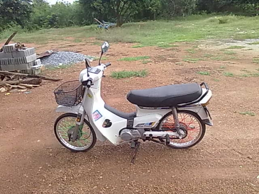 ขายดรีมคุรุสภา