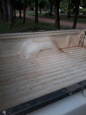 ด่วนที่สุดไมตี้หัวเดียว ปี39 เดิมๆไม่เคยทำสี เล่มพร้อมโอนครับ มาก่อนได้ก่อนครับ