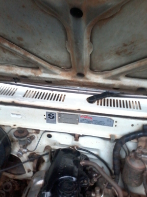 ด่วนที่สุดไมตี้หัวเดียว ปี39 เดิมๆไม่เคยทำสี เล่มพร้อมโอนครับ มาก่อนได้ก่อนครับ