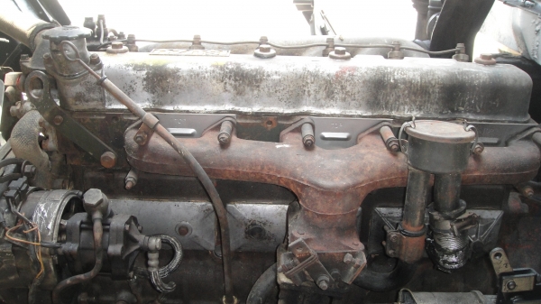 ISUZU JCM ดั๊มข้าวเปลือก ดั๊มมีเนียม เครื่องดี คัสฃีสวยจัด