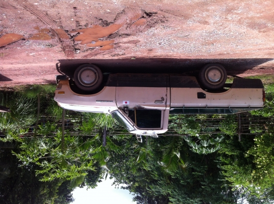 ลงใหม่ ขายช้างเหยียบ620 ราคา 36000 บาท