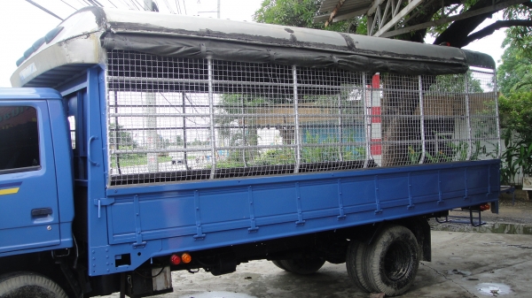 ISUZU NPR เครือง 115 แรง. ดาวน์75000 ผ่อน14700/36เดือน