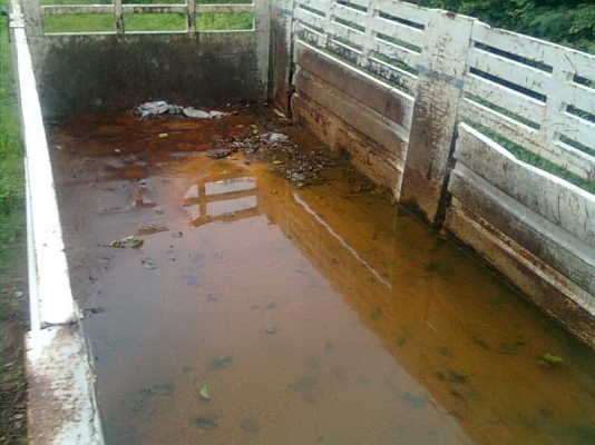 ขายไอ้หลงโบว์FN527M-TF7xxx  6D16TF เกียร์10สปีดสวยๆครับ