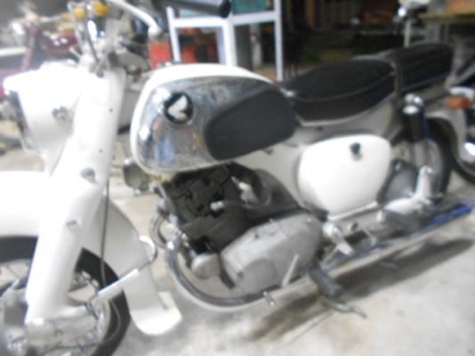 ขายหรือแลกโครตหมูยักษ์