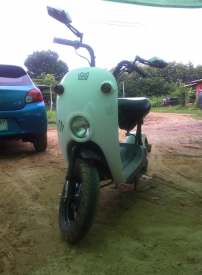 Sell Choi nori 12000