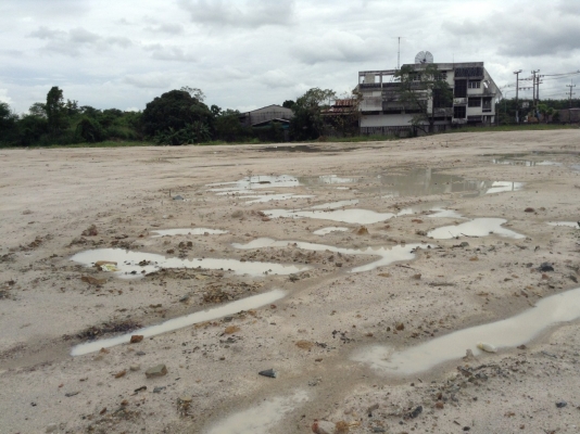 ขายที่ดินติดถนน ขายที่ดินติดถนน