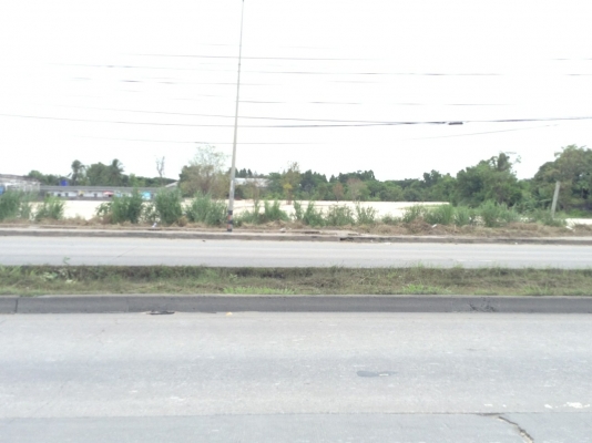 ขายที่ดินติดถนน ขายที่ดินติดถนน