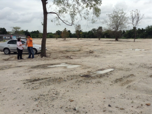 ขายที่ดินติดถนน