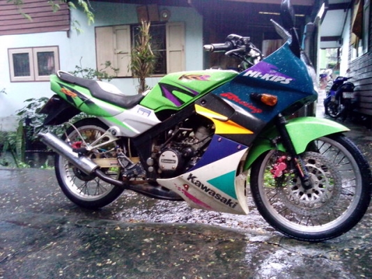 ขายkrr ssr ตูดเป็ด