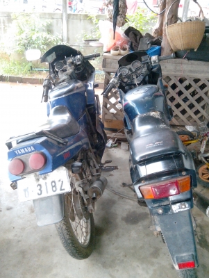 ขายเหมา หรือแยกก็ได้